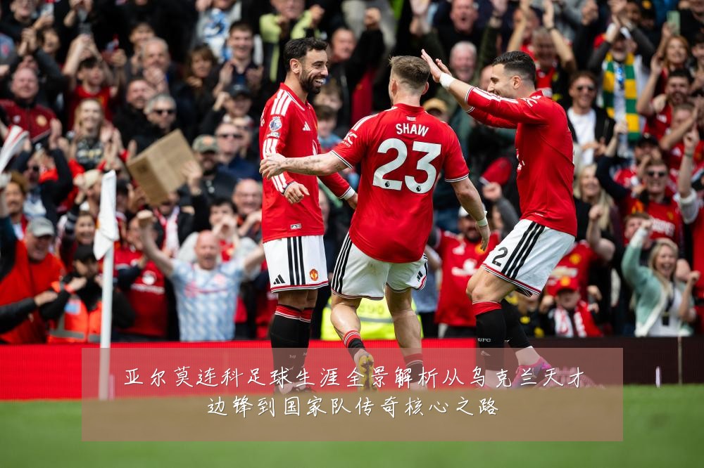 亚尔莫连科足球生涯全景解析从乌克兰天才边锋到国家队传奇核心之路